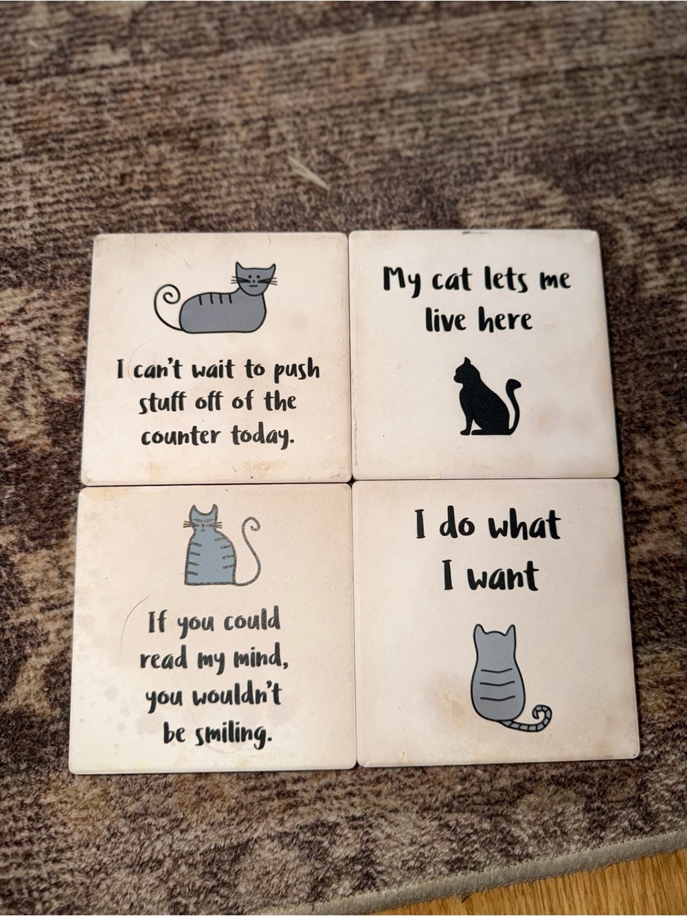 Source Unknown Gray Cat Quote Coaster Set